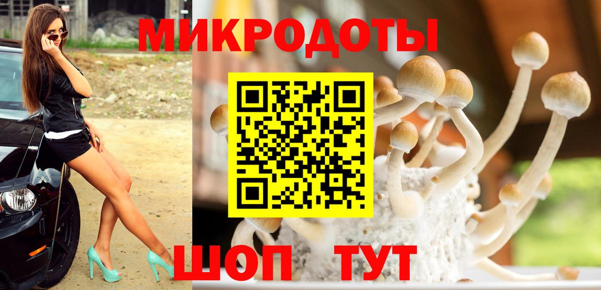 Псилоцибиновые грибы мицелий Петрозаводск