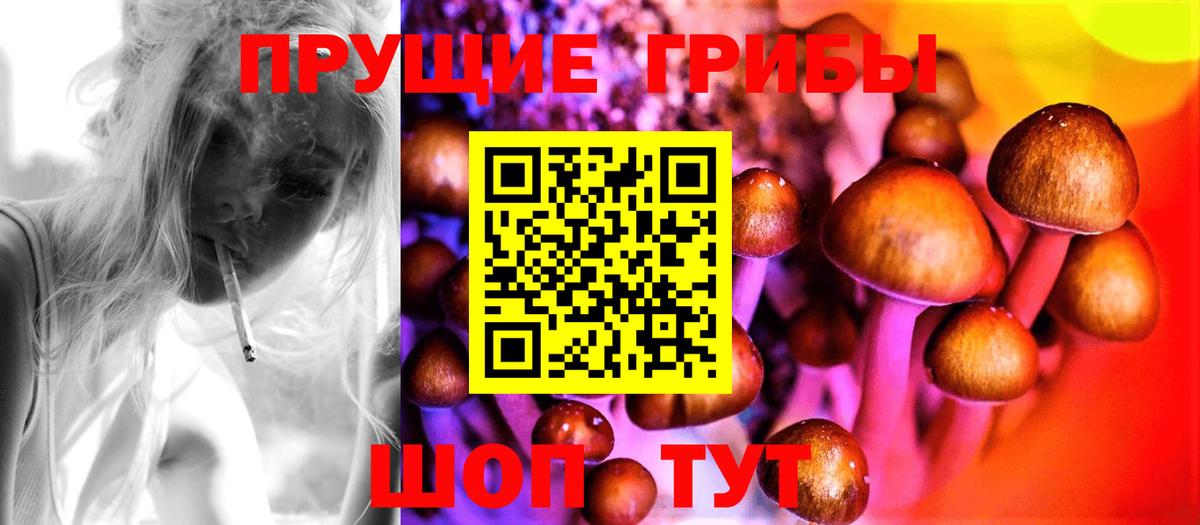 Галлюциногенные грибы мицелий  Галлюциногенные грибы мицелий  Вход с VPN  Петрозаводск 