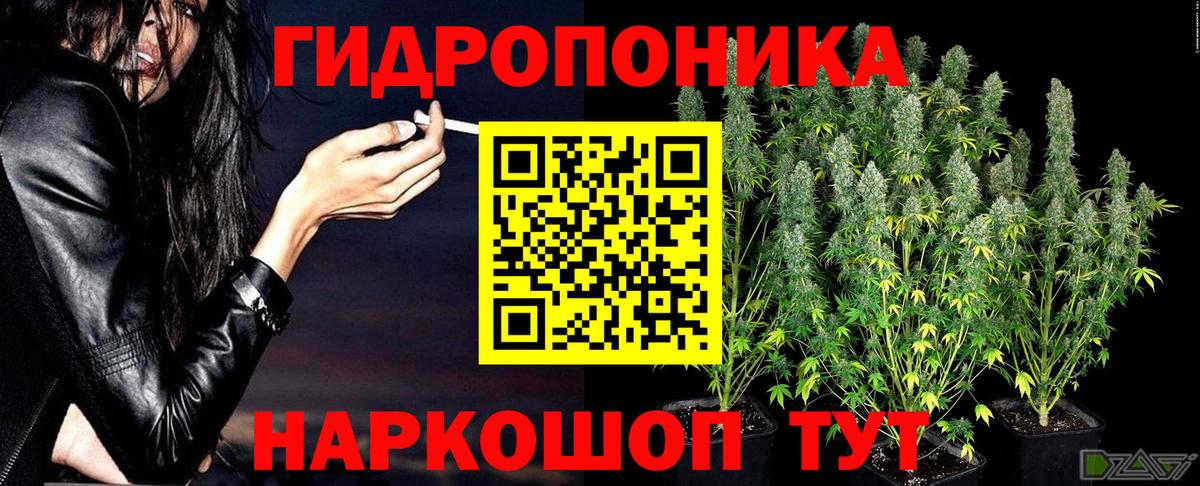 Бошки марихуана Amnesia  МАРИХУАНА гибрид  Вход с VPN  Петрозаводск 